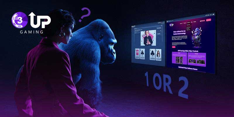 Blog - 3UP Gaming Blog How Much Does Online Poker Software Cost: Pricing, Features, Hidden Fees