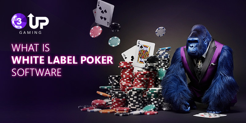 Blog - 3UP Gaming Blog What is White Label Poker Software? | 3UP