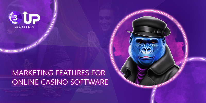 Blog - 3UP Gaming Blog Integrated Marketing Features for Online Casino Software: The Most Valuable Options