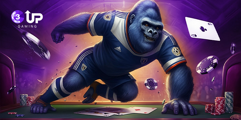Blog - 3UP Gaming Blog Poker League Software: Best Tools to Manage Your Poker Tournaments