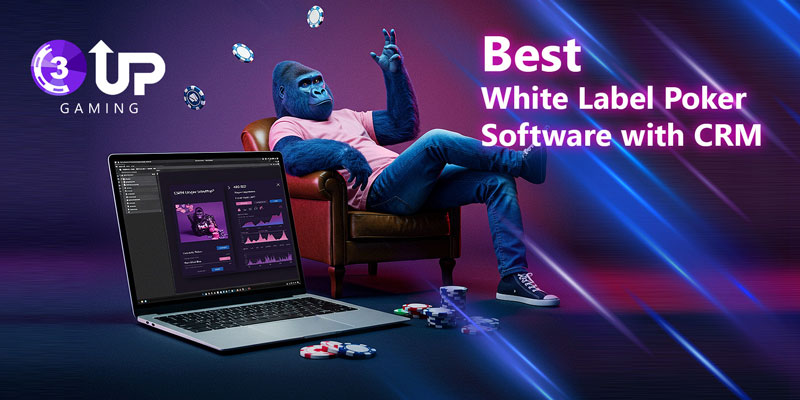 Blog - 3UP Gaming Blog How to Raise Player Retention & Engagement in 2025: Best White Label Poker Software with CRM!