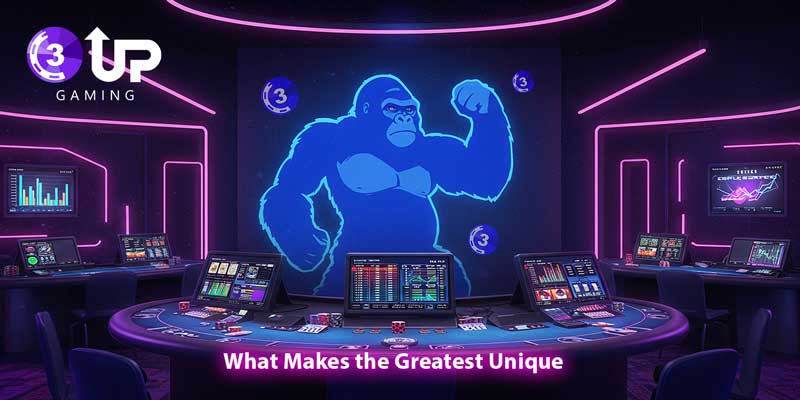 Blog - 3UP Gaming Blog Reliable Poker Suppliers for 2025 Tournaments: What Makes the Greatest Unique!