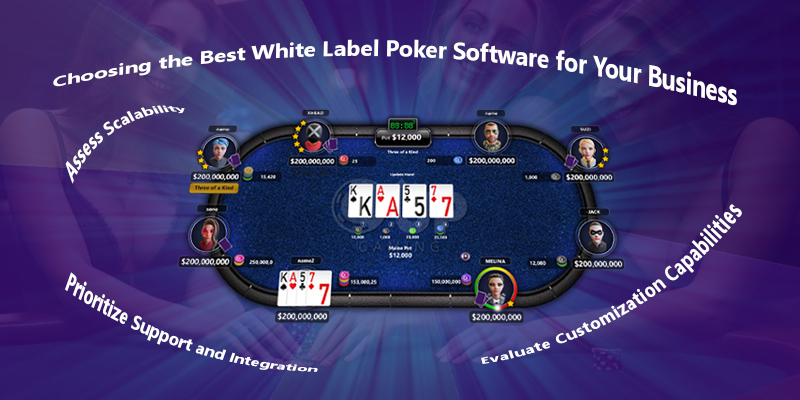 White Label Poker Software: What It Is and Why Your Business Needs It?
