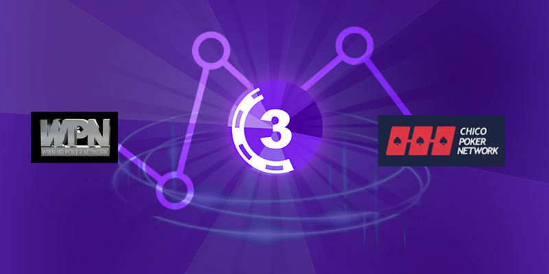 What Are WPN Poker Skins?