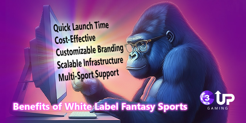 White Label Fantasy Sports