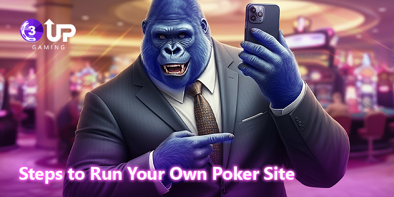 Run Your Own Poker Site: A Complete Guide to Starting Your Online Poker Business
