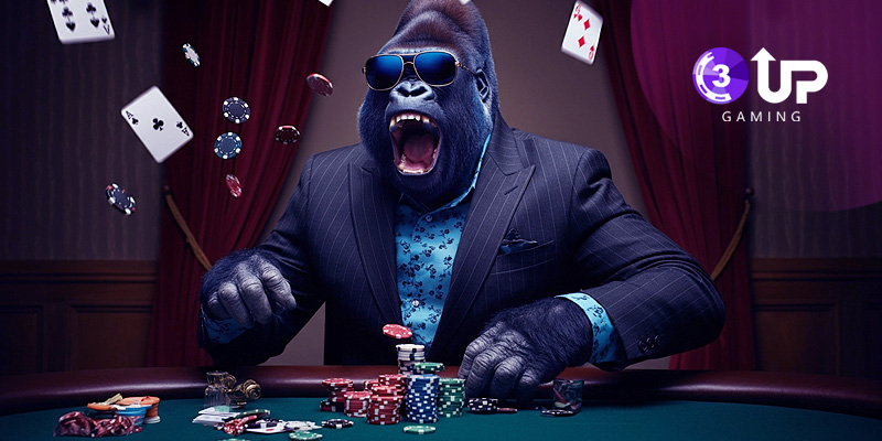 What is White Label Poker Software?