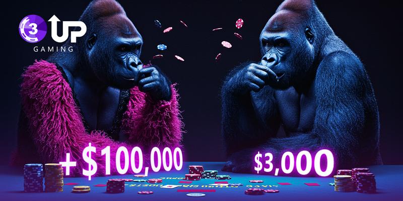 How Customization Impacts Online Poker Software Cost