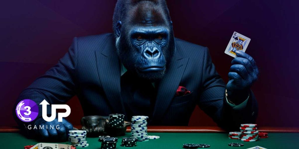 Buy Poker Source Code: A Complete Guide to Building Your Poker Platform