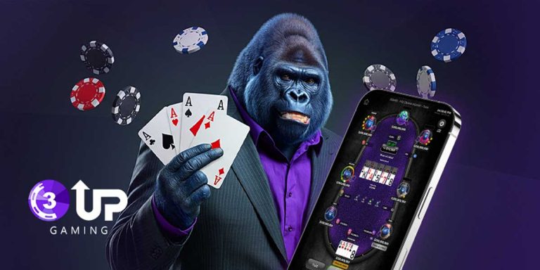 Buy Poker Source Code: A Complete Guide to Building Your Poker Platform