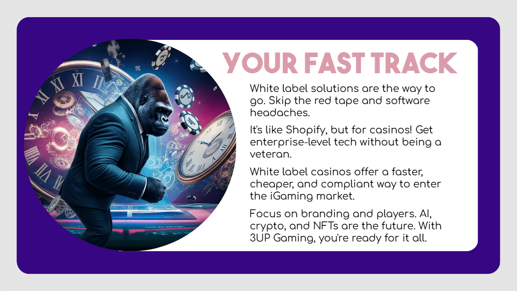 How to Launch Your Own White Label Casino Online? 1 image 19