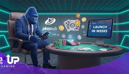 Explore the Best White Label Poker Software Providers for 2025!