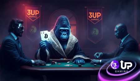 What Is White Label Poker Software, and How Does It Work?
